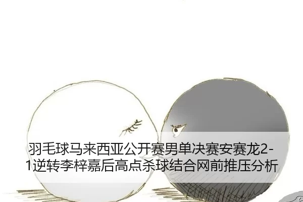 yu-mao-qiu-ma-lai-xi-ya-gong-kai-sai-nan-dan-jue-sai-an-sai-long-ni-zhuan-li-zi-jia-hou-gao-dian-sha-qiu-jie-he-wang-3-965.jpg